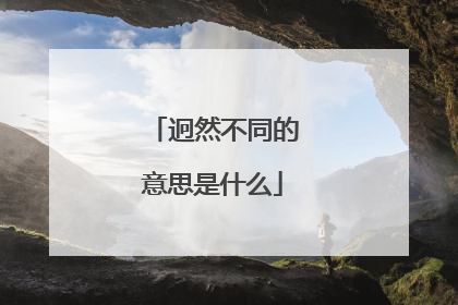 迥然不同的意思是什么