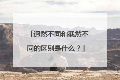 迥然不同和截然不同的区别是什么？