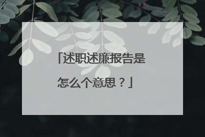 述职述廉报告是怎么个意思？