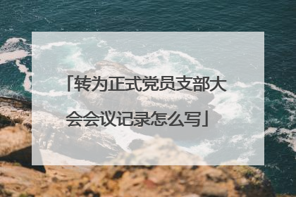 转为正式党员支部大会会议记录怎么写