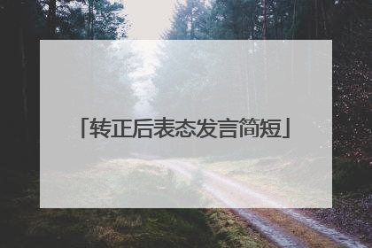 转正后表态发言简短