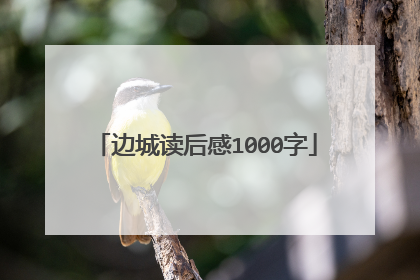 边城读后感1000字