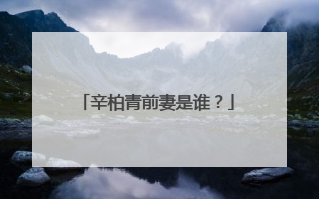 辛柏青前妻是谁？