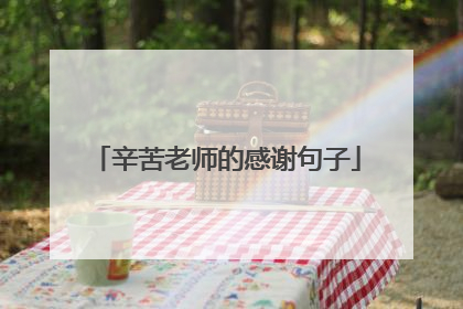 辛苦老师的感谢句子