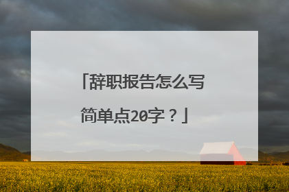 辞职报告怎么写简单点20字？