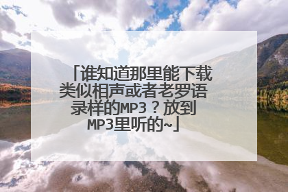 谁知道那里能下载类似相声或者老罗语录样的MP3?放到MP3里听的~