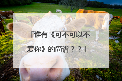 谁有《可不可以不爱你》的简谱？？