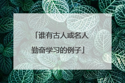 谁有古人或名人勤奋学习的例子