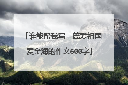 谁能帮我写一篇爱祖国爱金海的作文600字