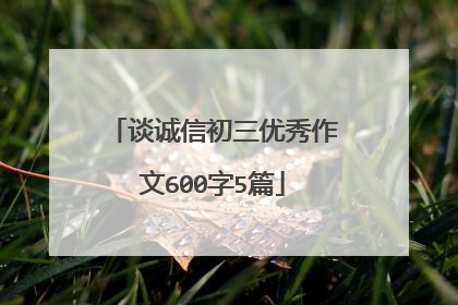 谈诚信初三优秀作文600字5篇