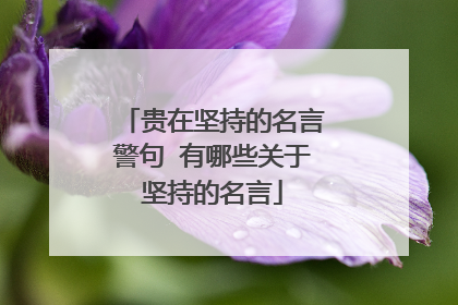 贵在坚持的名言警句 有哪些关于坚持的名言