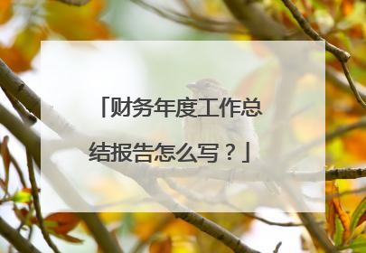 财务年度工作总结报告怎么写？