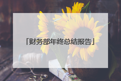 财务部年终总结报告