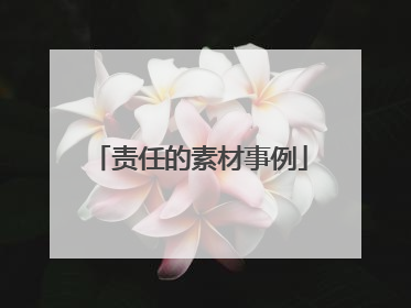 责任的素材事例