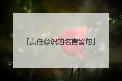 责任意识的名言警句