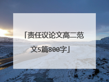 责任议论文高二范文5篇800字
