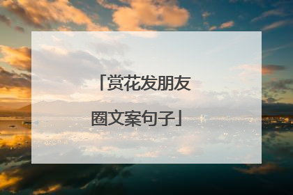 赏花发朋友圈文案句子