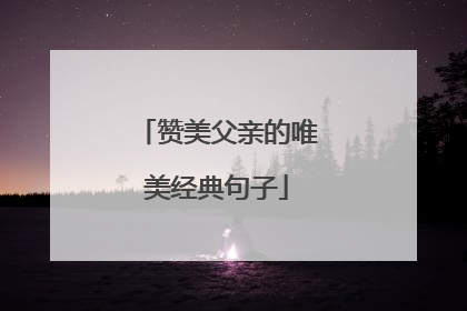 赞美父亲的唯美经典句子