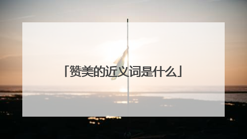 赞美的近义词是什么