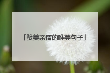 赞美亲情的唯美句子