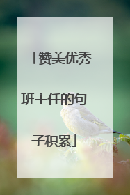 赞美优秀班主任的句子积累