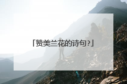 赞美兰花的诗句?