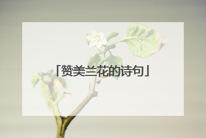 赞美兰花的诗句