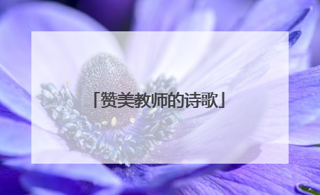 赞美教师的诗歌