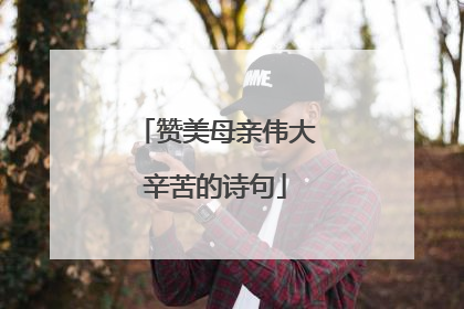 赞美母亲伟大辛苦的诗句