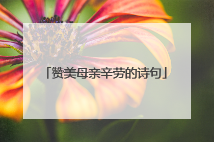 赞美母亲辛劳的诗句