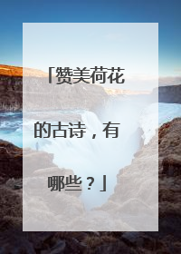 赞美荷花的古诗,有哪些?