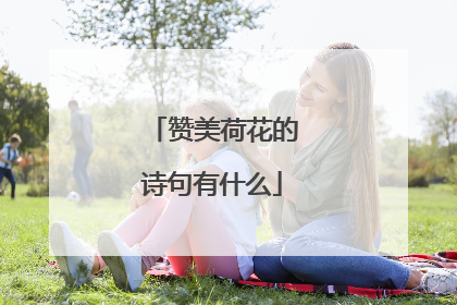 赞美荷花的诗句有什么