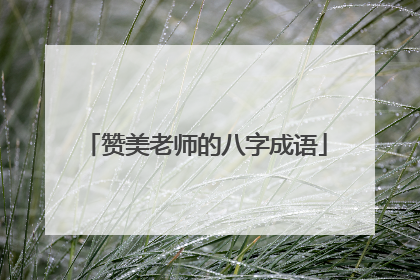 赞美老师的八字成语