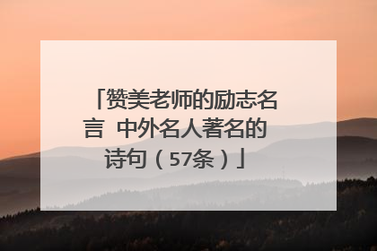 赞美老师的励志名言 中外名人著名的诗句（57条）