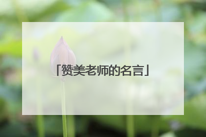 赞美老师的名言