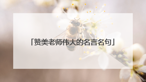 赞美老师伟大的名言名句