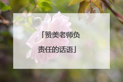 赞美老师负责任的话语