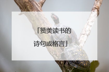 赞美读书的诗句或格言