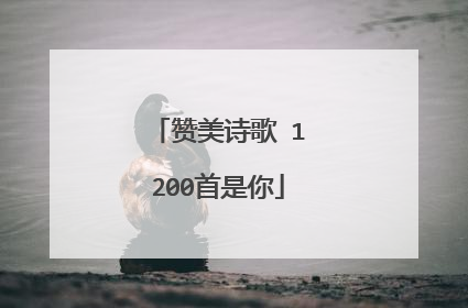 赞美诗歌 1200首是你