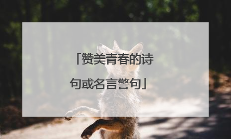 赞美青春的诗句或名言警句