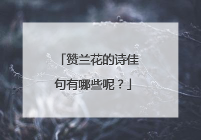 赞兰花的诗佳句有哪些呢?