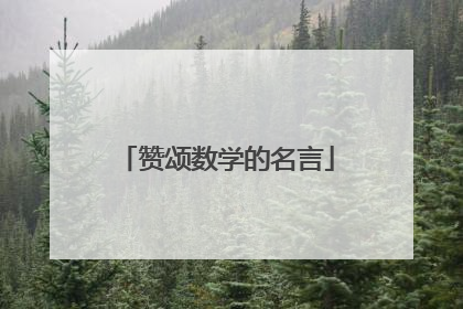 赞颂数学的名言