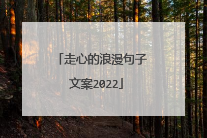 走心的浪漫句子文案2022