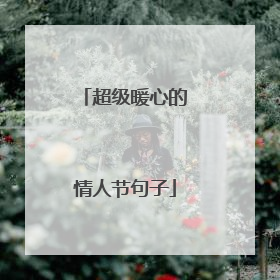 超级暖心的情人节句子