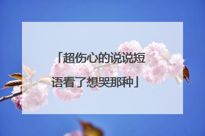 超伤心的说说短语看了想哭那种