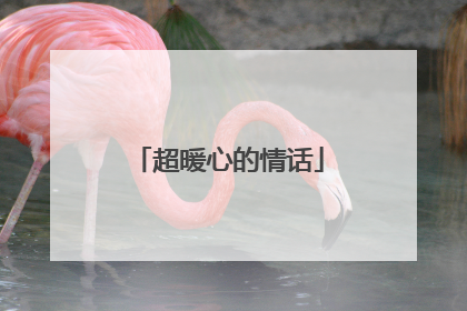 超暖心的情话