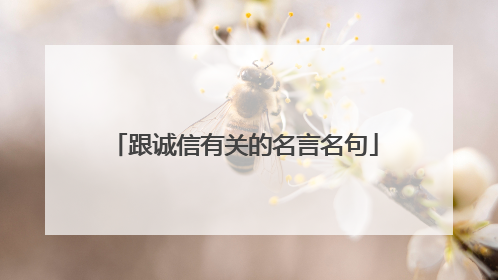 跟诚信有关的名言名句