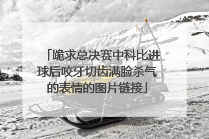 跪求总决赛中科比进球后咬牙切齿满脸杀气的表情的图片链接
