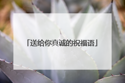 送给你真诚的祝福语