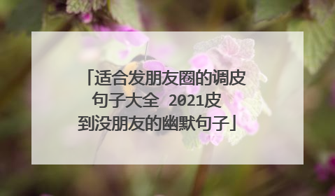 适合发朋友圈的调皮句子大全 2021皮到没朋友的幽默句子